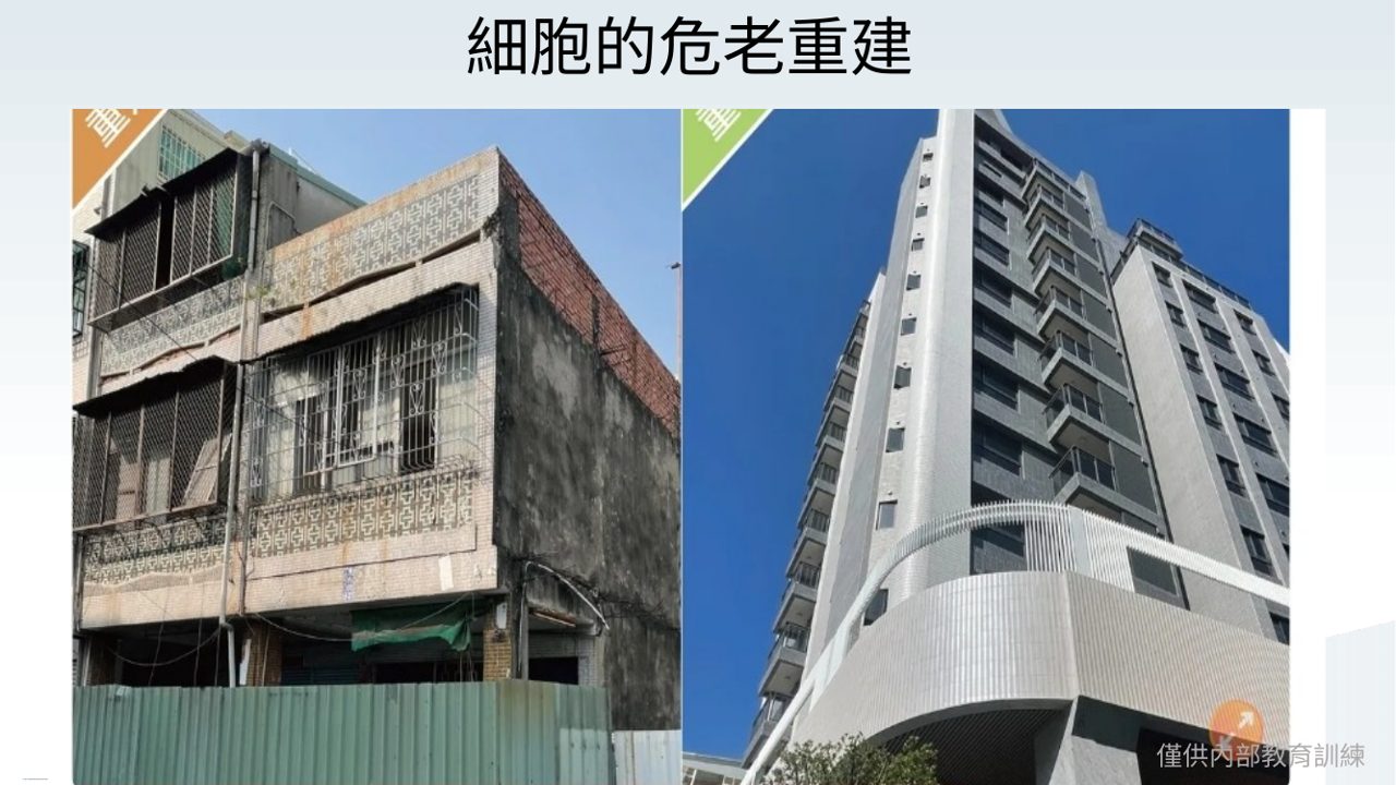 細胞的危老重建簡報截圖